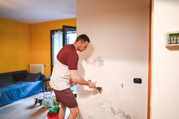 Best Best Mold Removal Companies  in Antwerp, OH